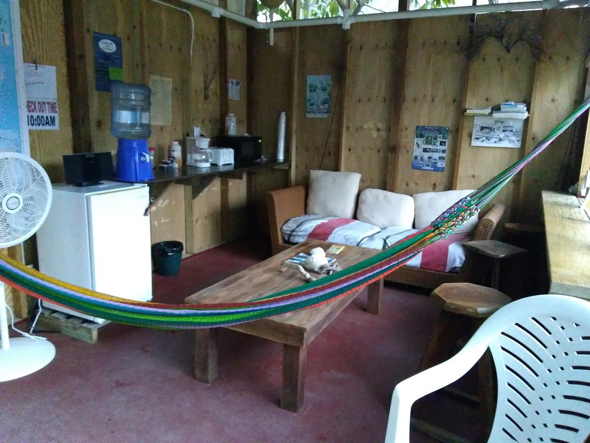 Placencia Hostel Екстериор снимка